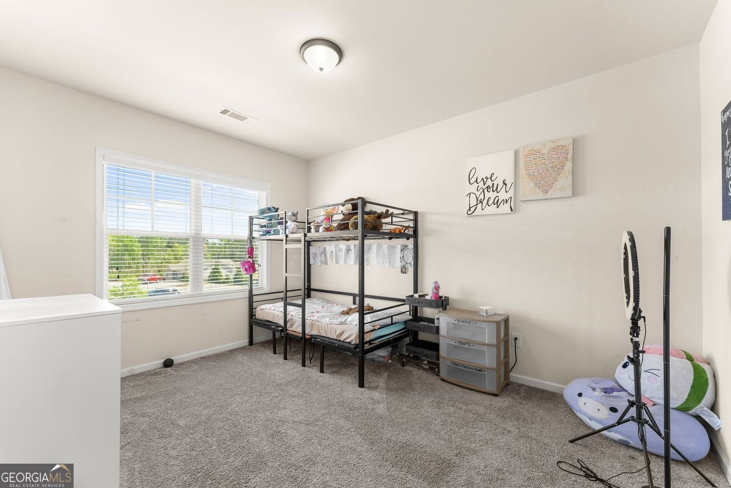 160 Blue billed Crossing Jefferson - Photo 37