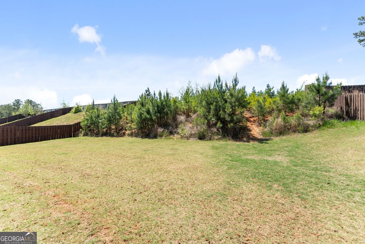 160 Blue billed Crossing Jefferson - Photo 47