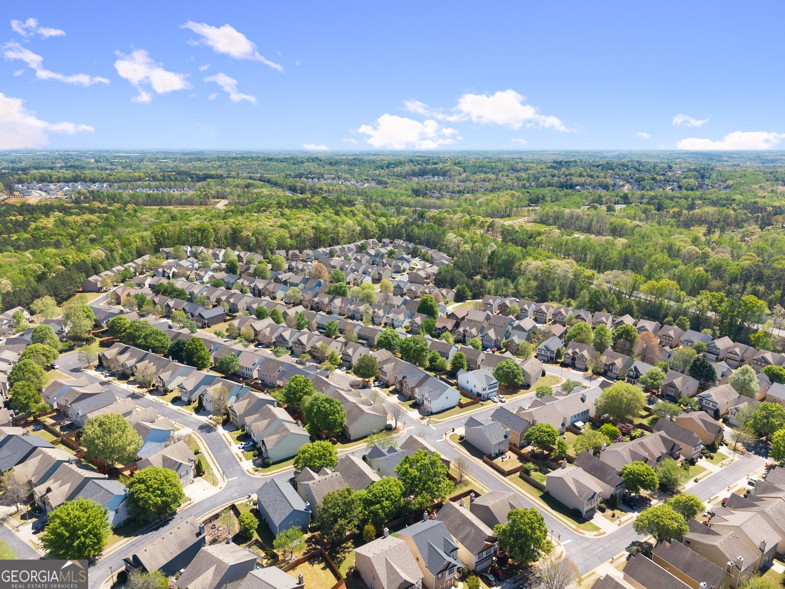 2070 Cabela Drive Buford - Photo 51