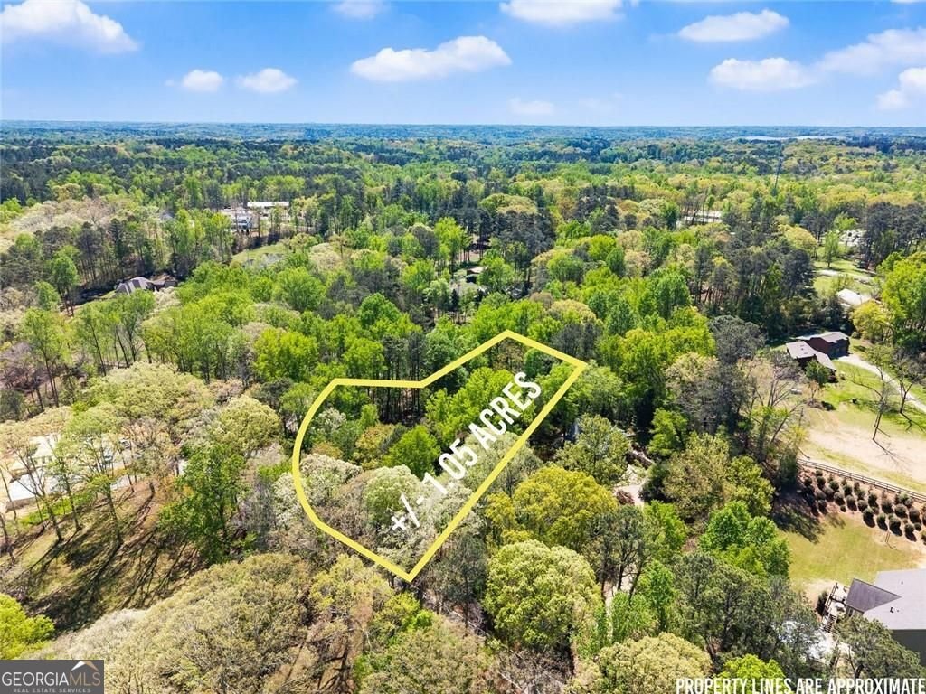 1042 Bailey Road Woodstock - Photo 15