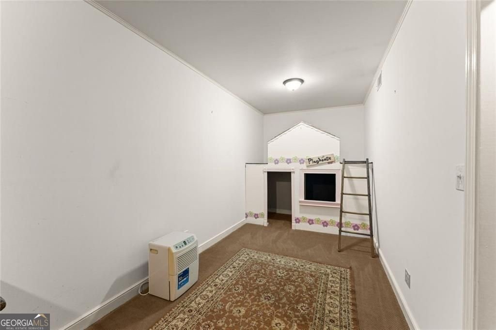 1042 Bailey Road Woodstock - Photo 42