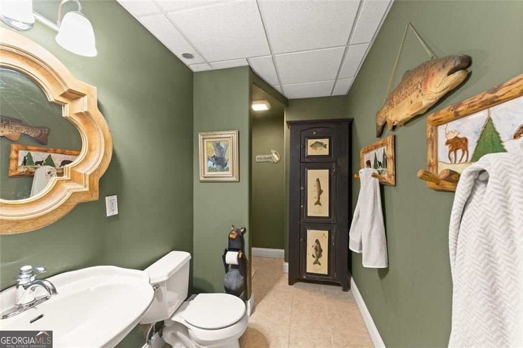 1042 Bailey Road Woodstock - Photo 47