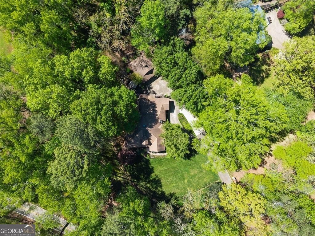 1042 Bailey Road Woodstock - Photo 62