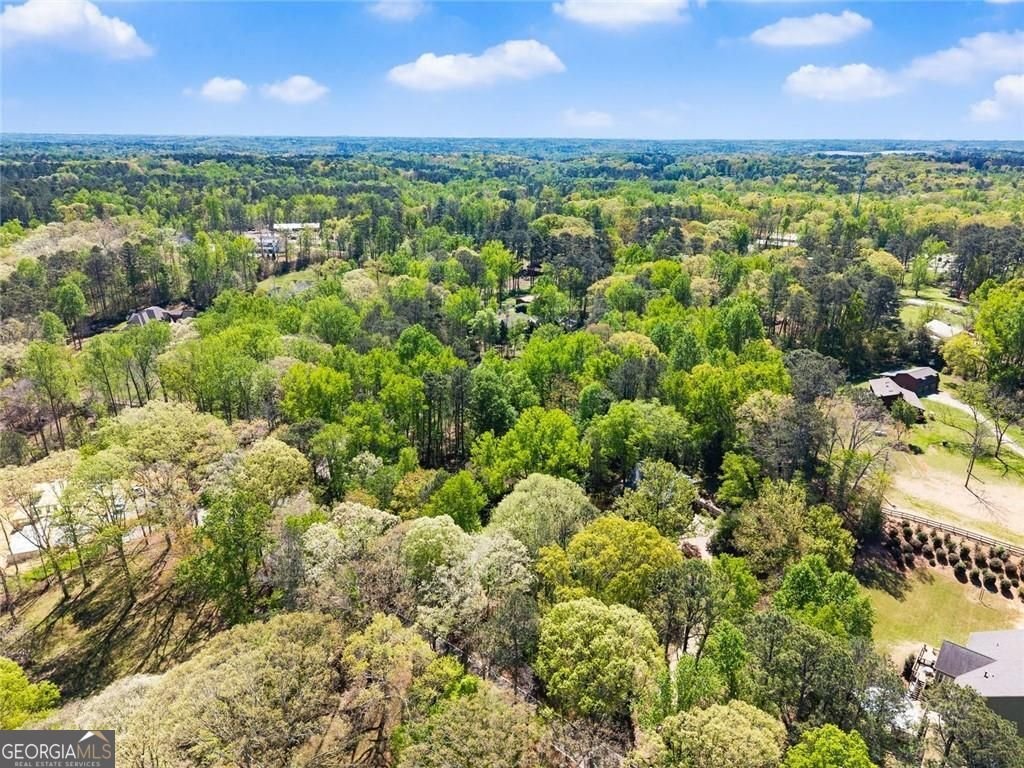 1042 Bailey Road Woodstock - Photo 63