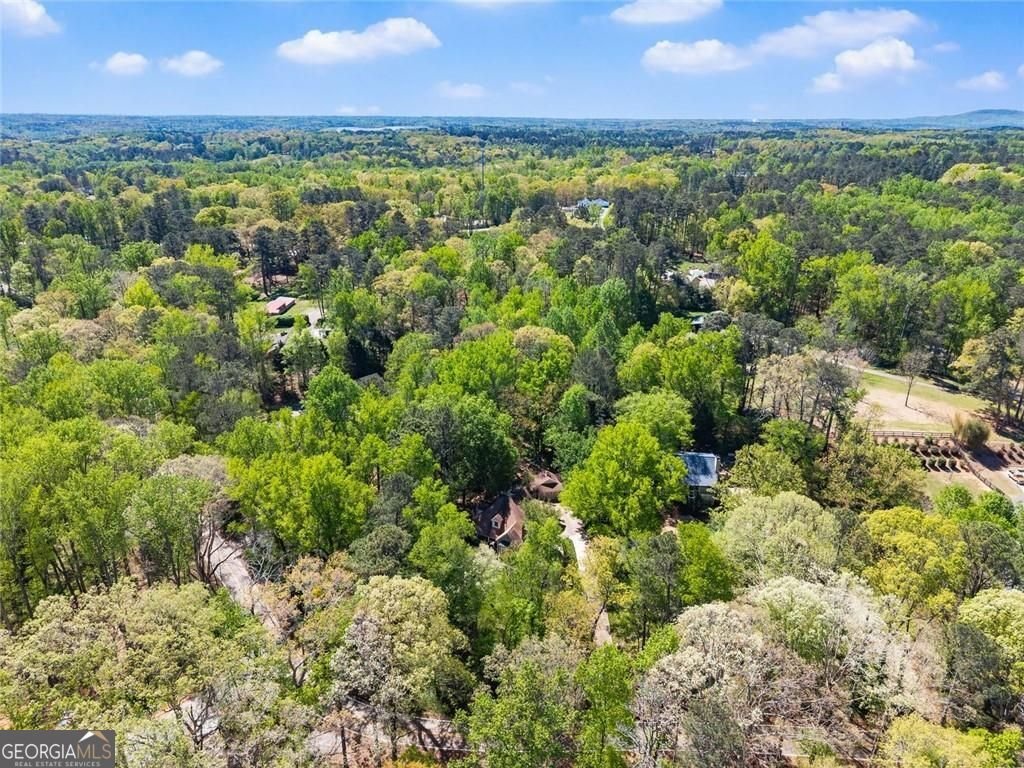 1042 Bailey Road Woodstock - Photo 64