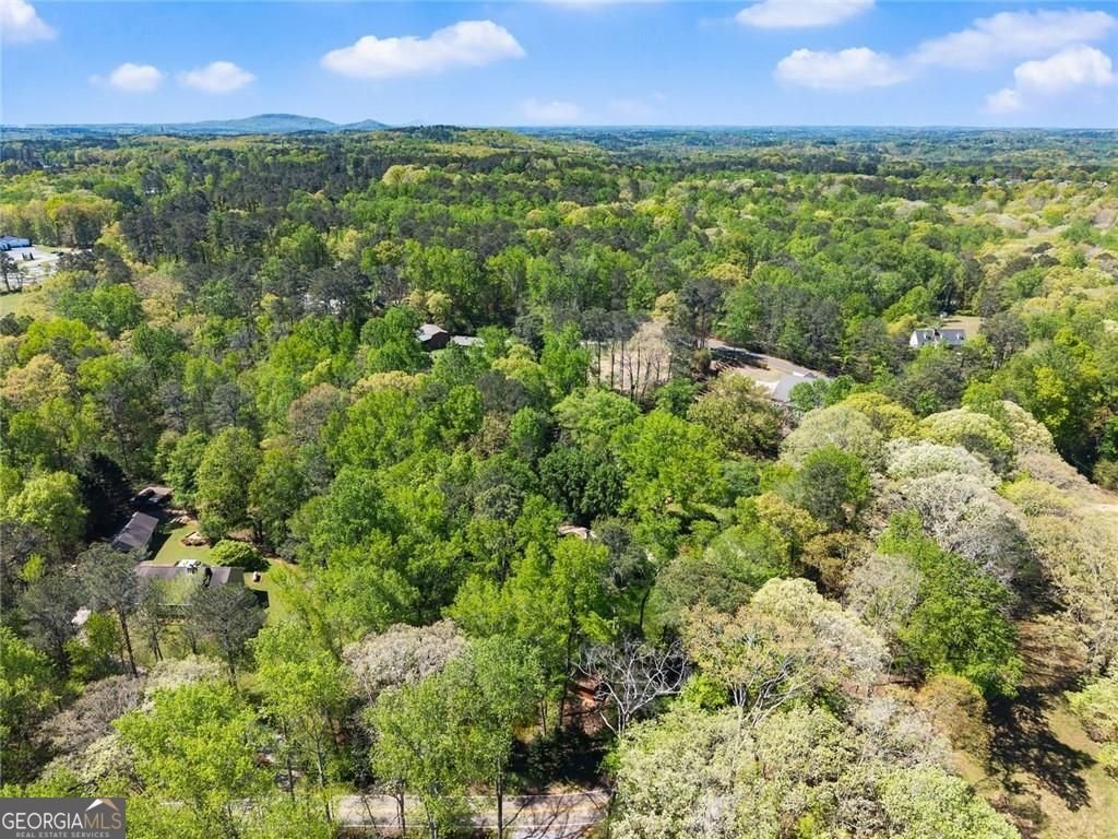 1042 Bailey Road Woodstock - Photo 65