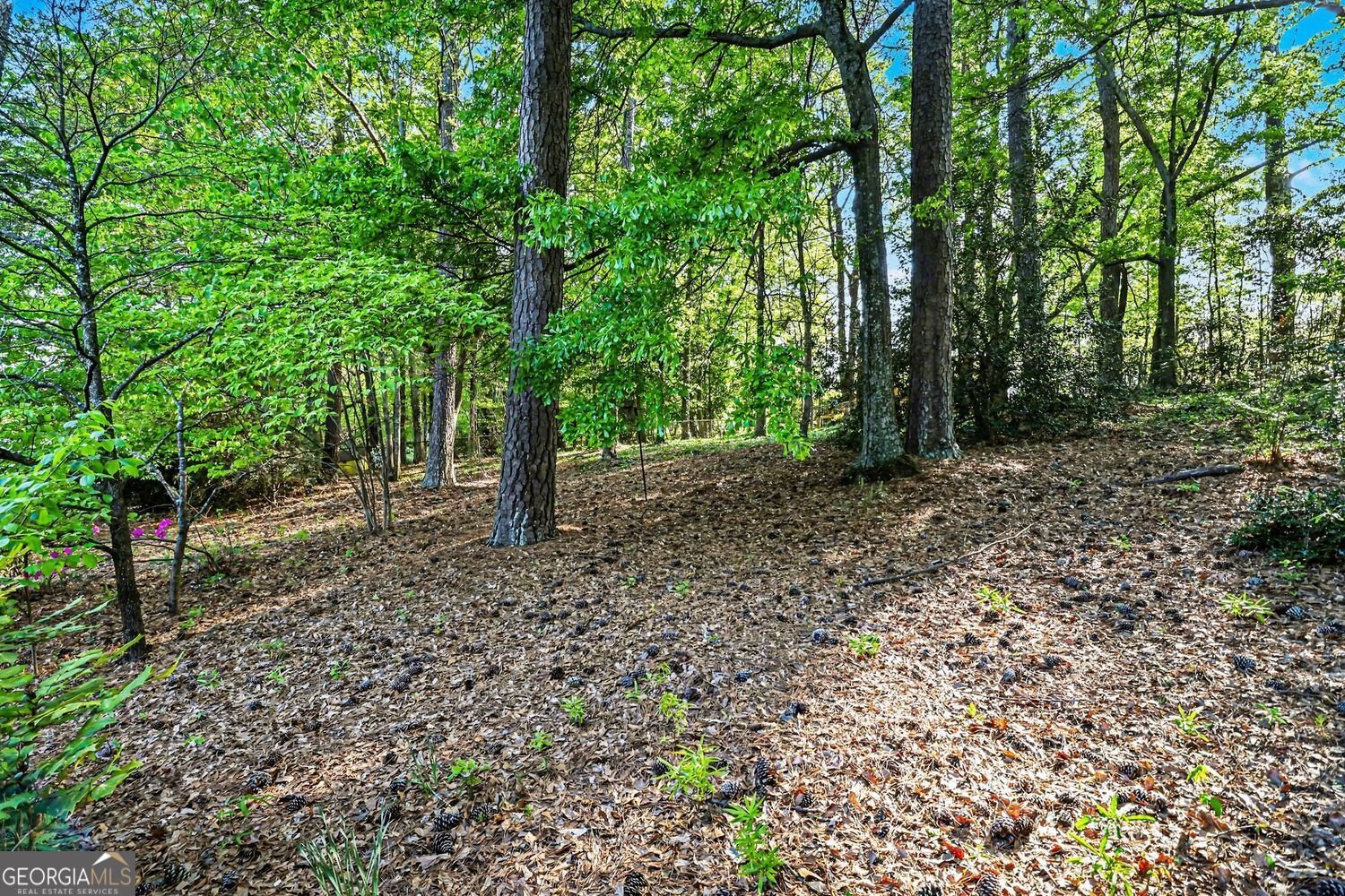 990 Melody Lane Roswell - Photo 23