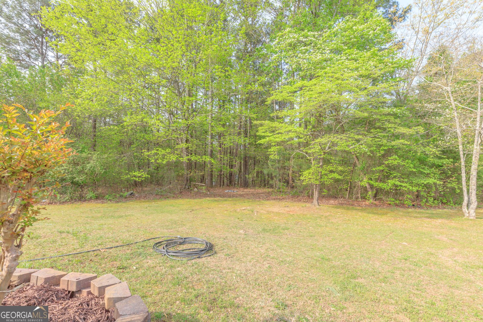 197 Lynn Trail La Fayette - Photo 35