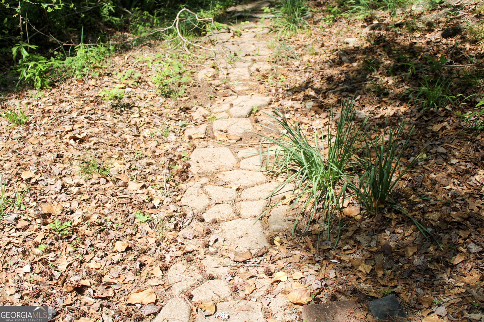 895 Waterview Drive Lagrange - Photo 68