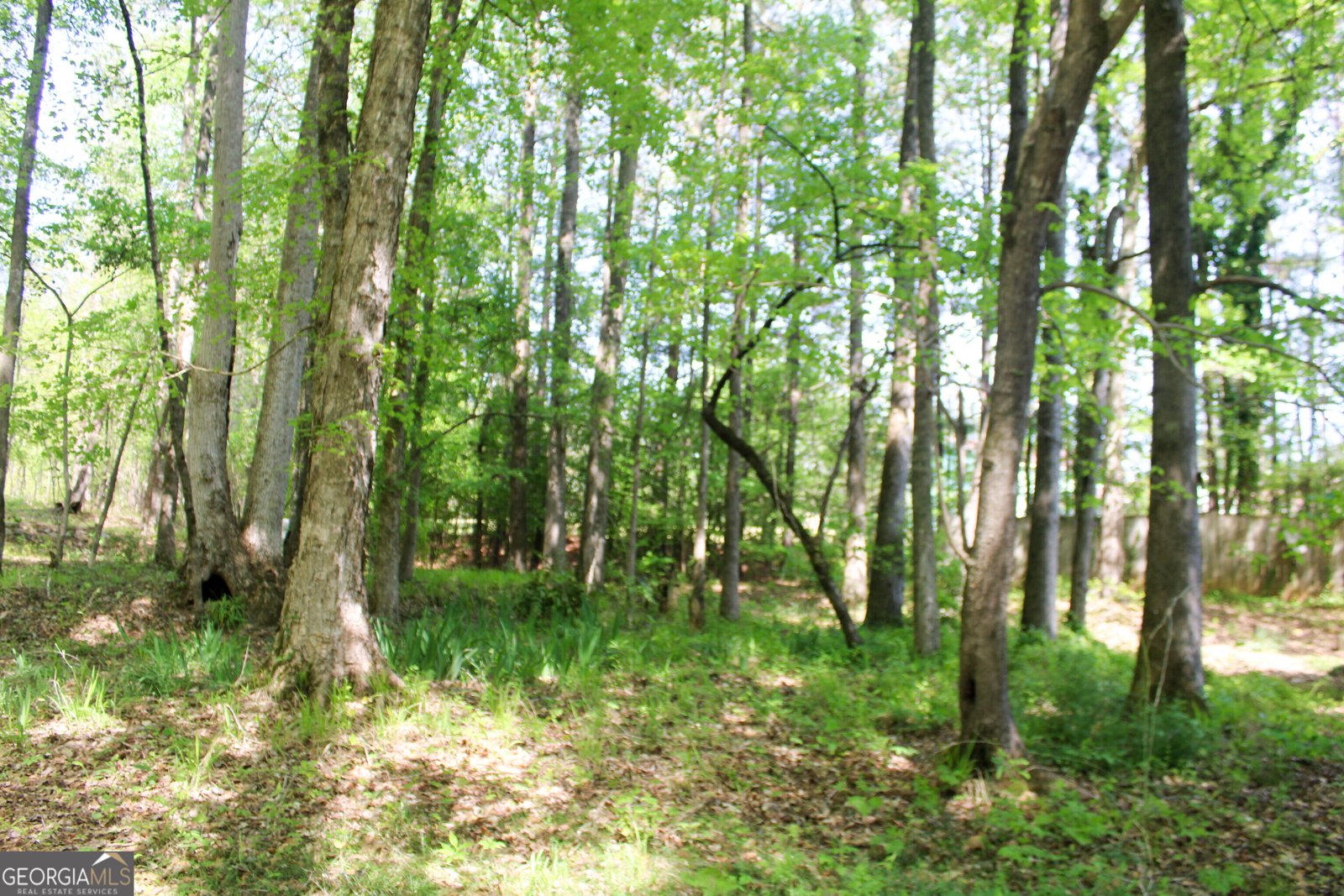 895 Waterview Drive Lagrange - Photo 73