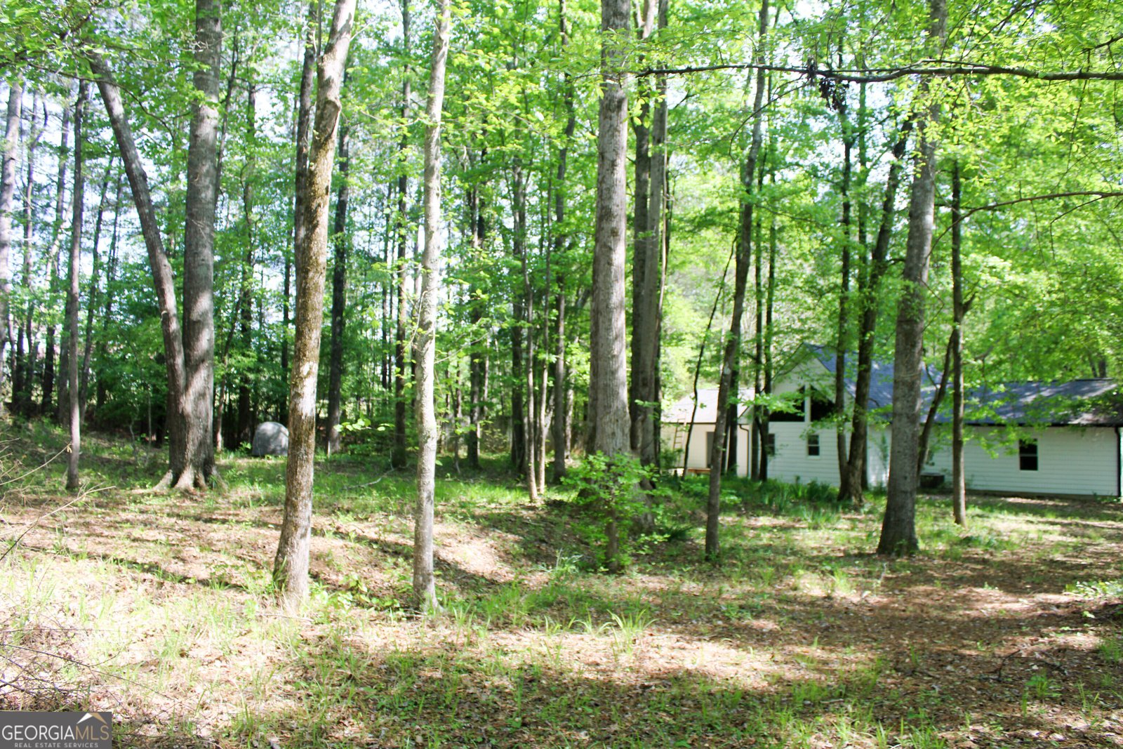 895 Waterview Drive Lagrange - Photo 76