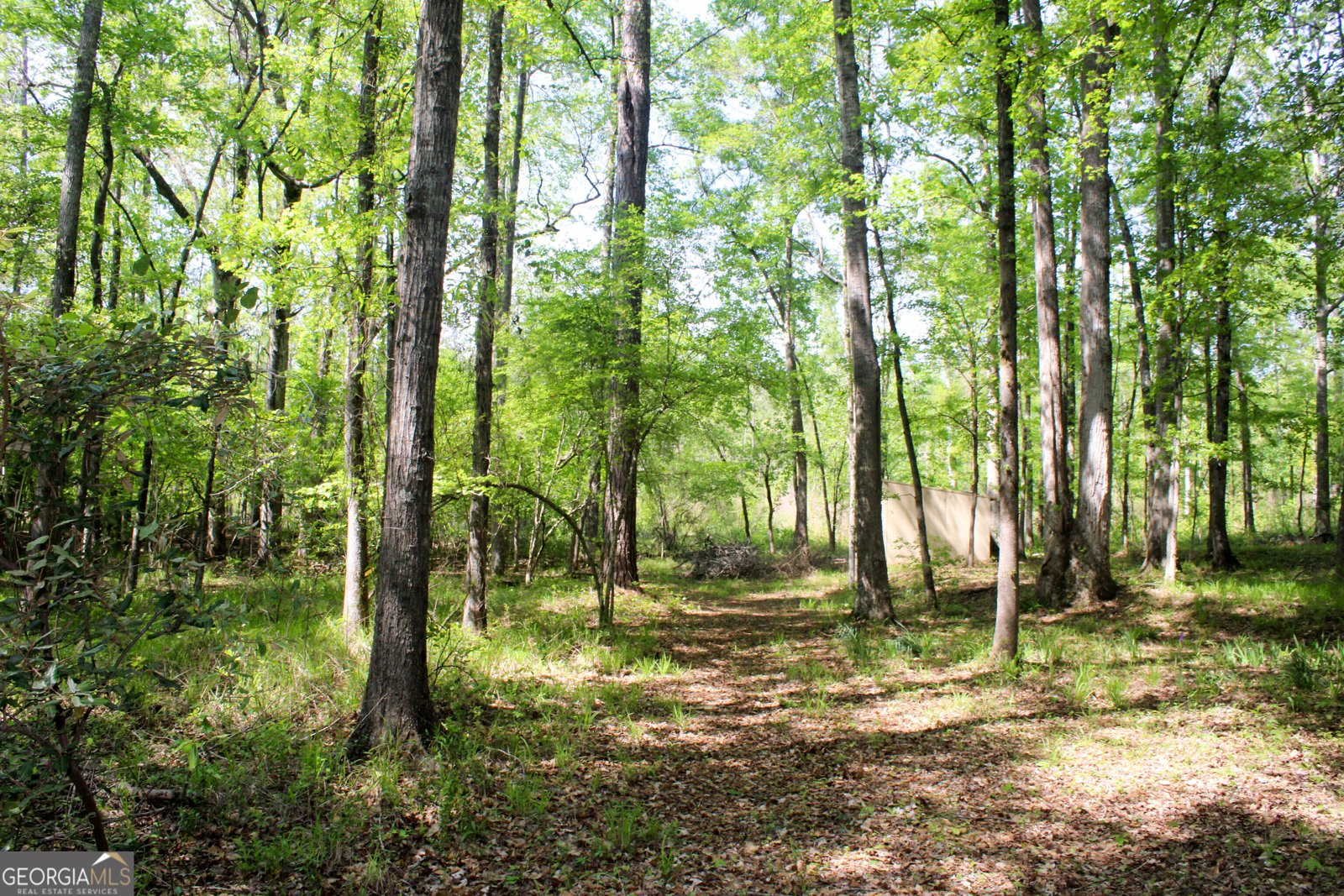 895 Waterview Drive Lagrange - Photo 78