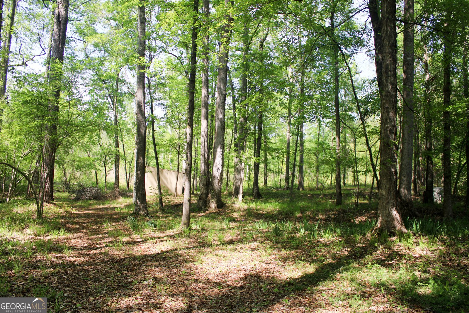 895 Waterview Drive Lagrange - Photo 79