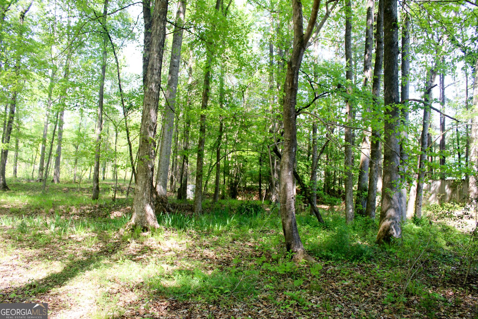 895 Waterview Drive Lagrange - Photo 80