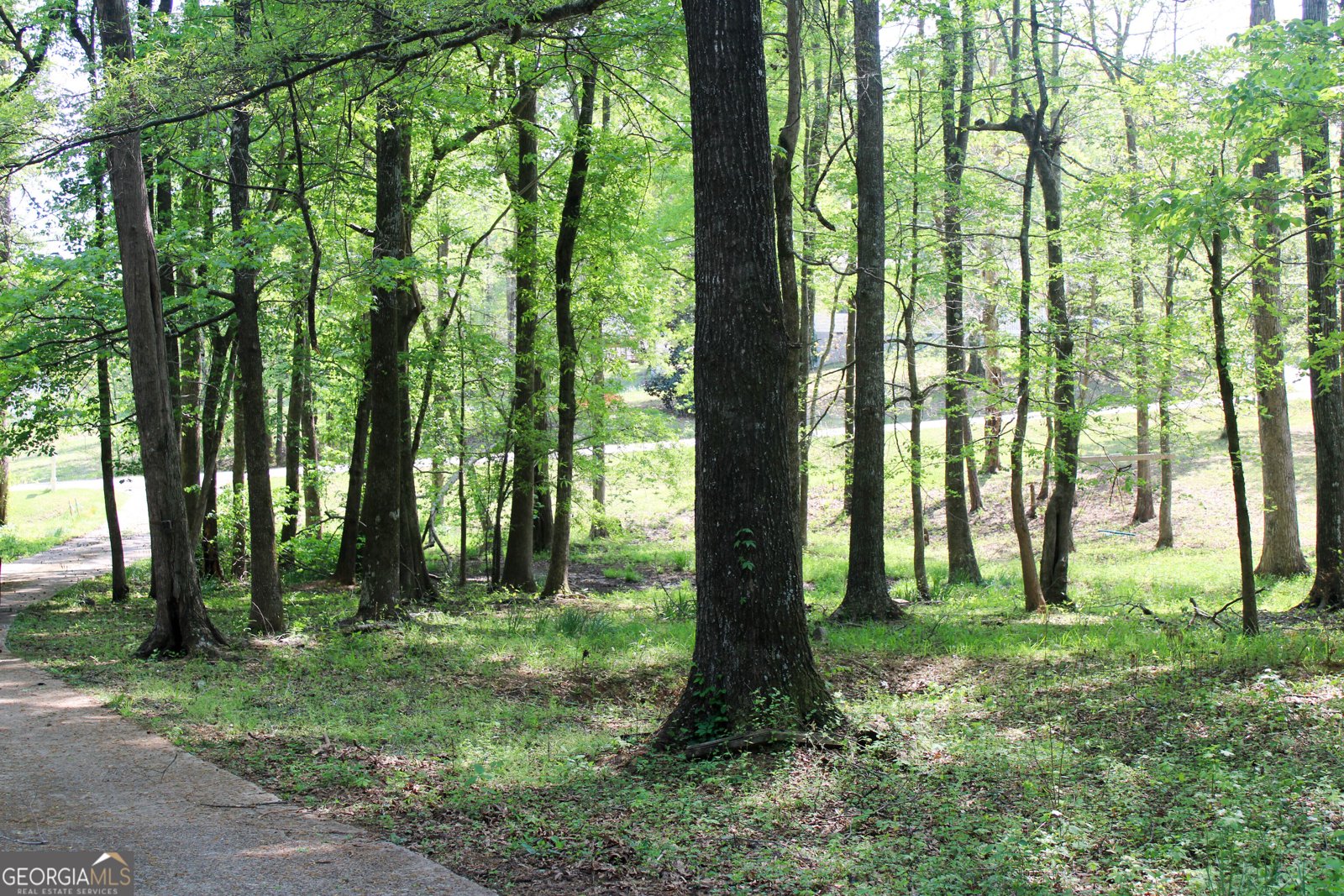 895 Waterview Drive Lagrange - Photo 83