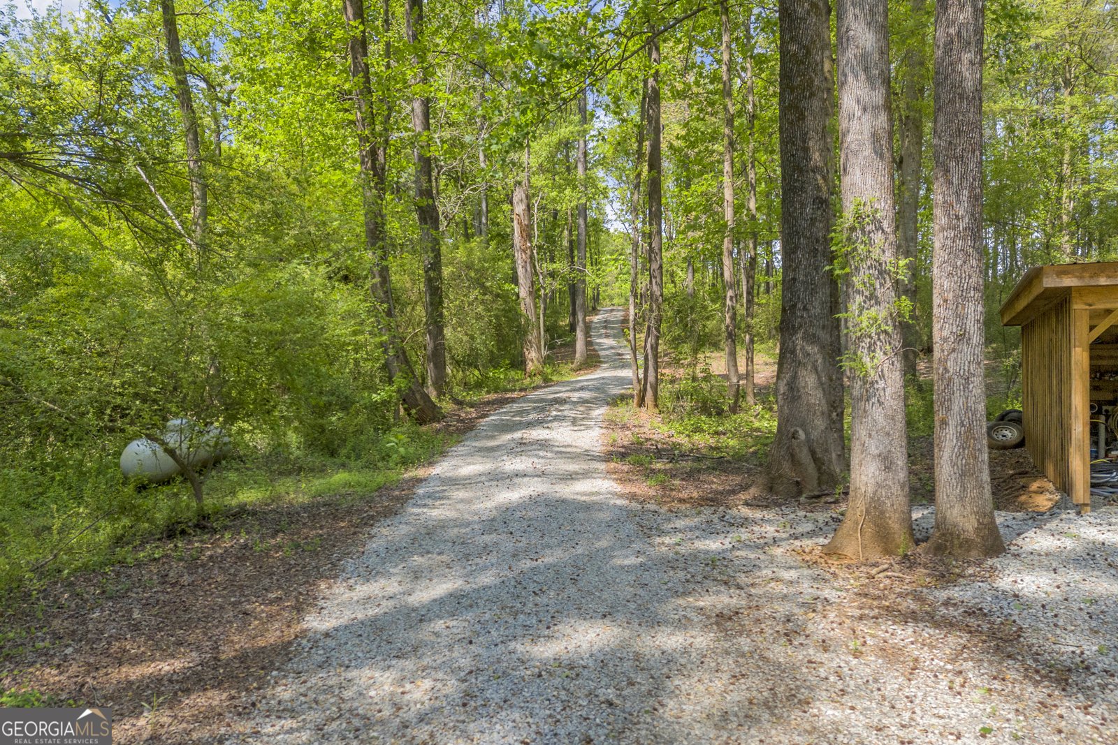 372 Langford Carey Road Danielsville - Photo 63