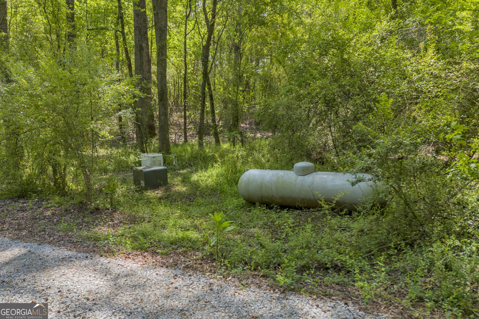 372 Langford Carey Road Danielsville - Photo 65