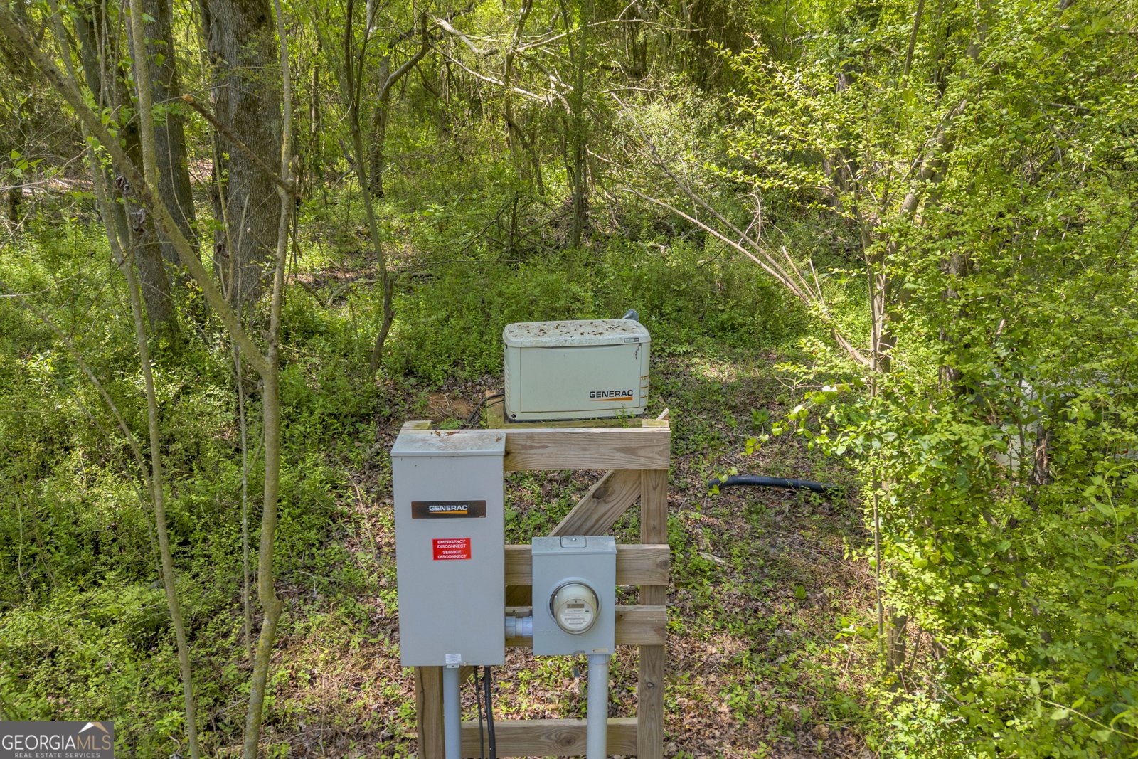 372 Langford Carey Road Danielsville - Photo 67