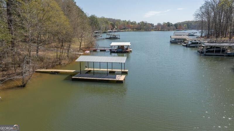 330 Lake Drive Dawsonville - Photo 42