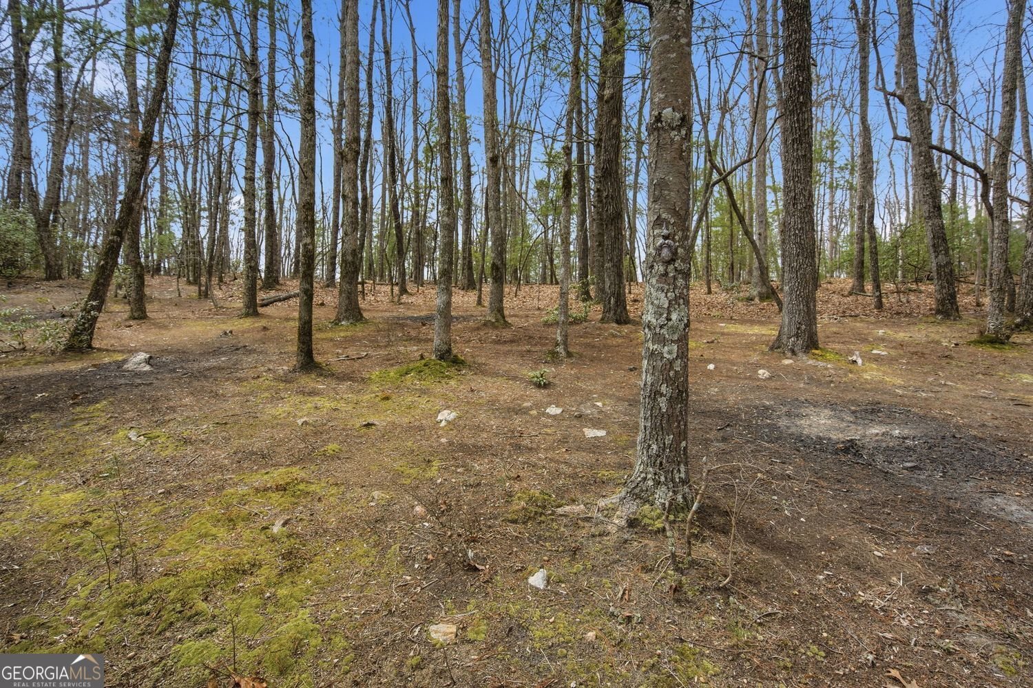 1399 Old Parker Place Road Ellijay - Photo 45