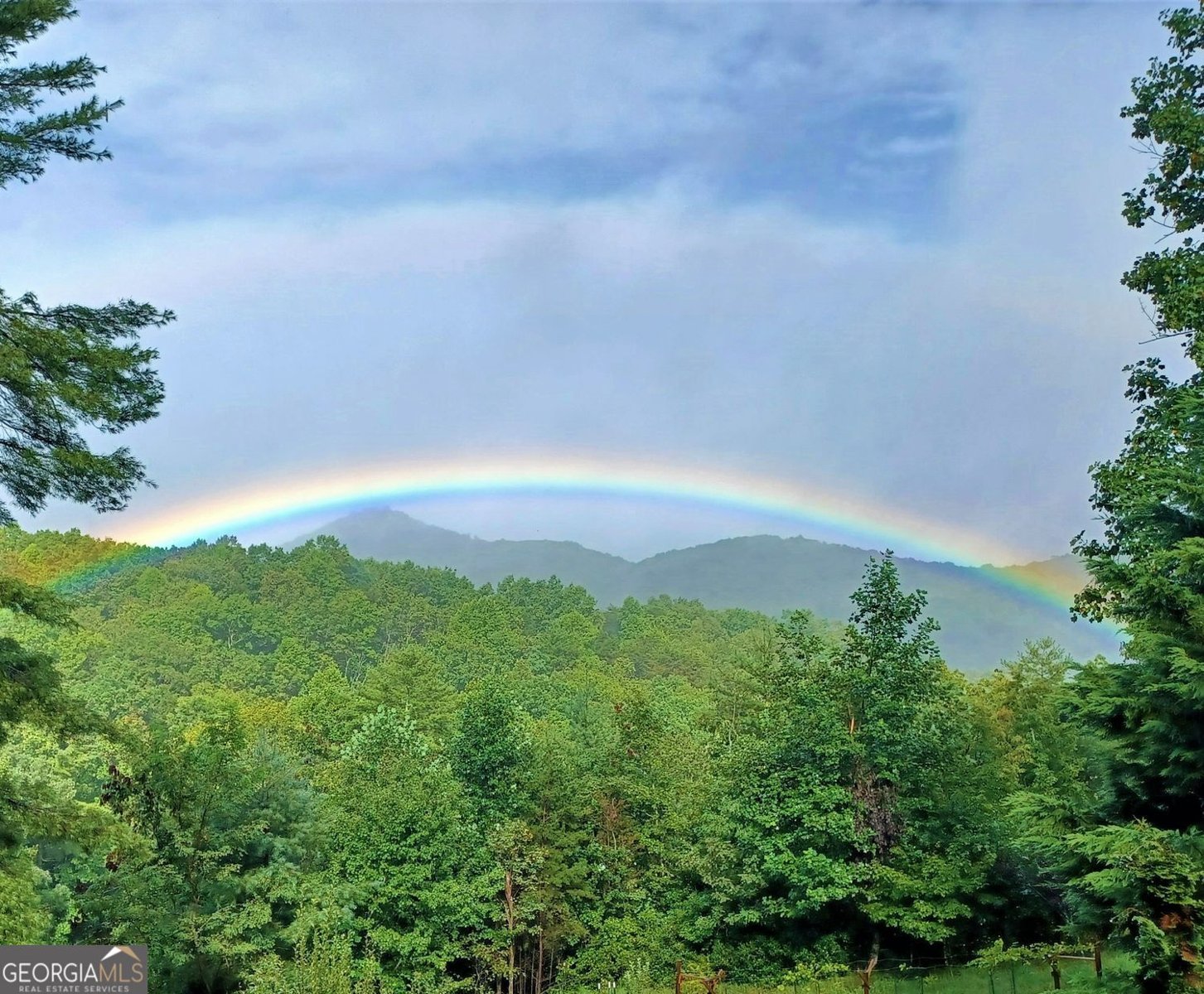 1399 Old Parker Place Road Ellijay - Photo 63