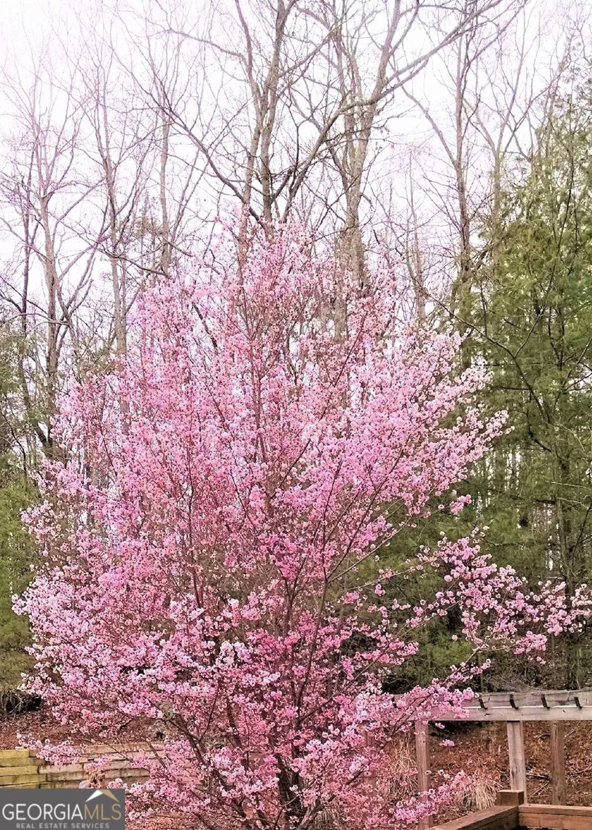 1399 Old Parker Place Road Ellijay - Photo 66