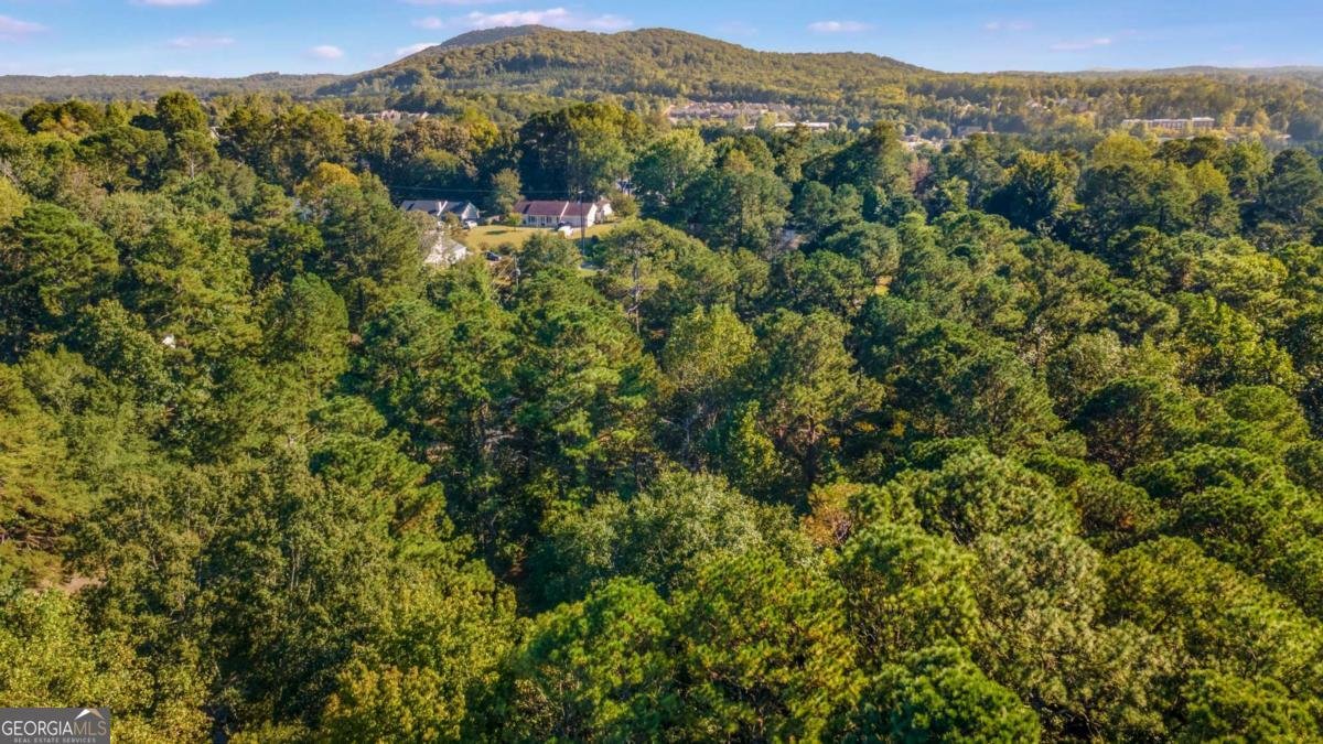 230 Apple Branch Drive Woodstock - Photo 31