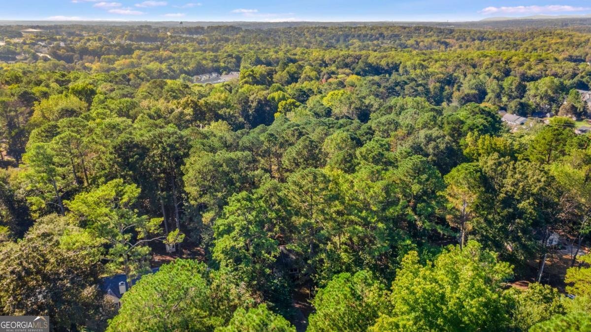 230 Apple Branch Drive Woodstock - Photo 32