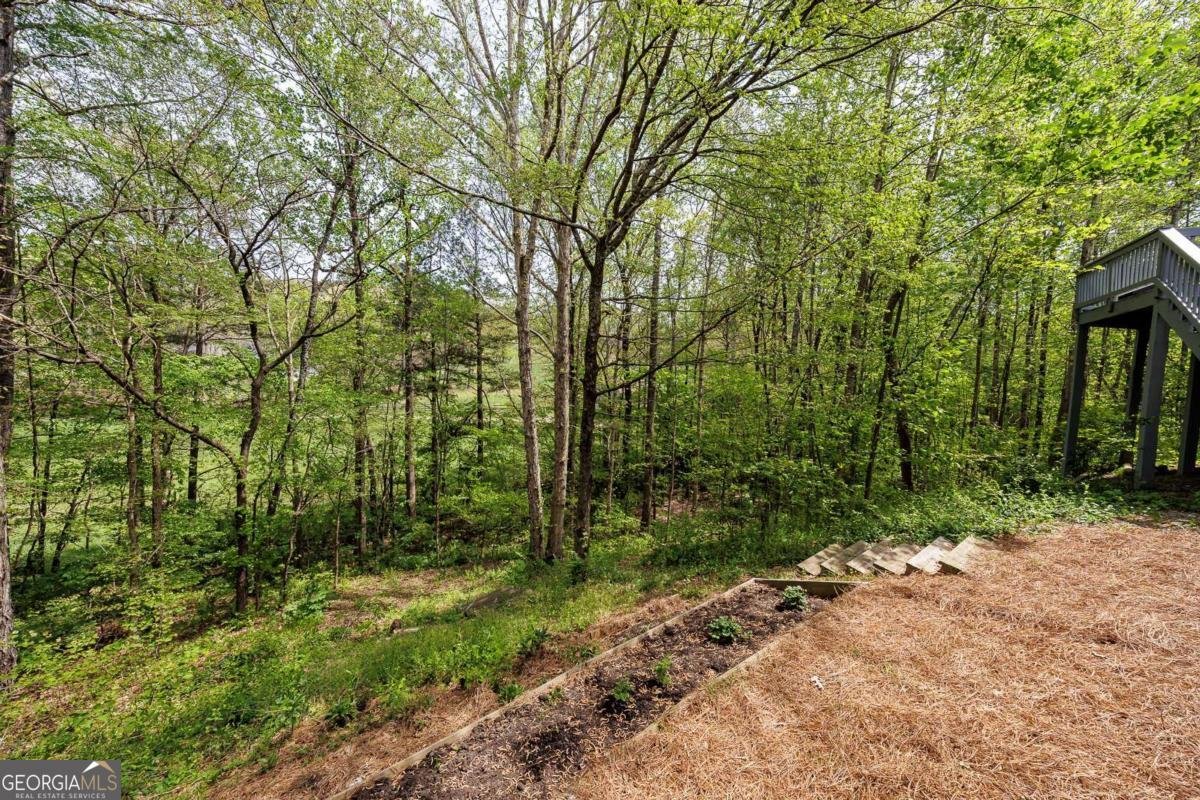 1025 Boxwood Lane Canton - Photo 57