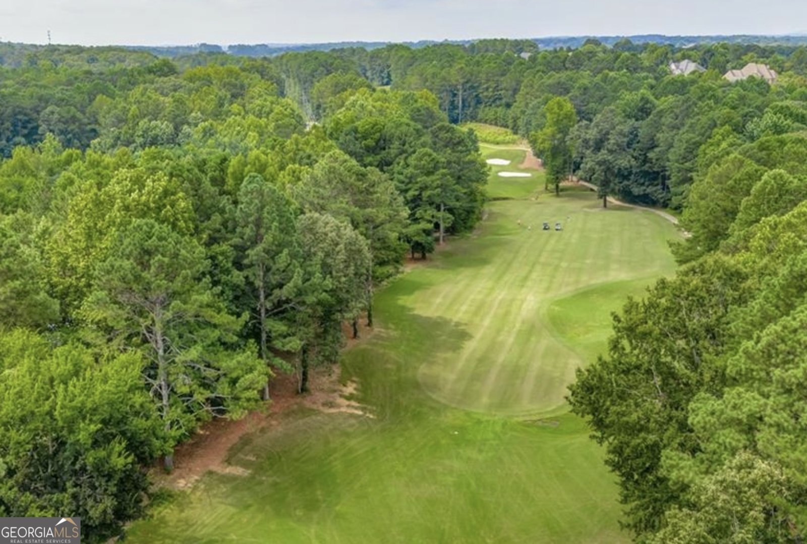 1025 Boxwood Lane Canton - Photo 87