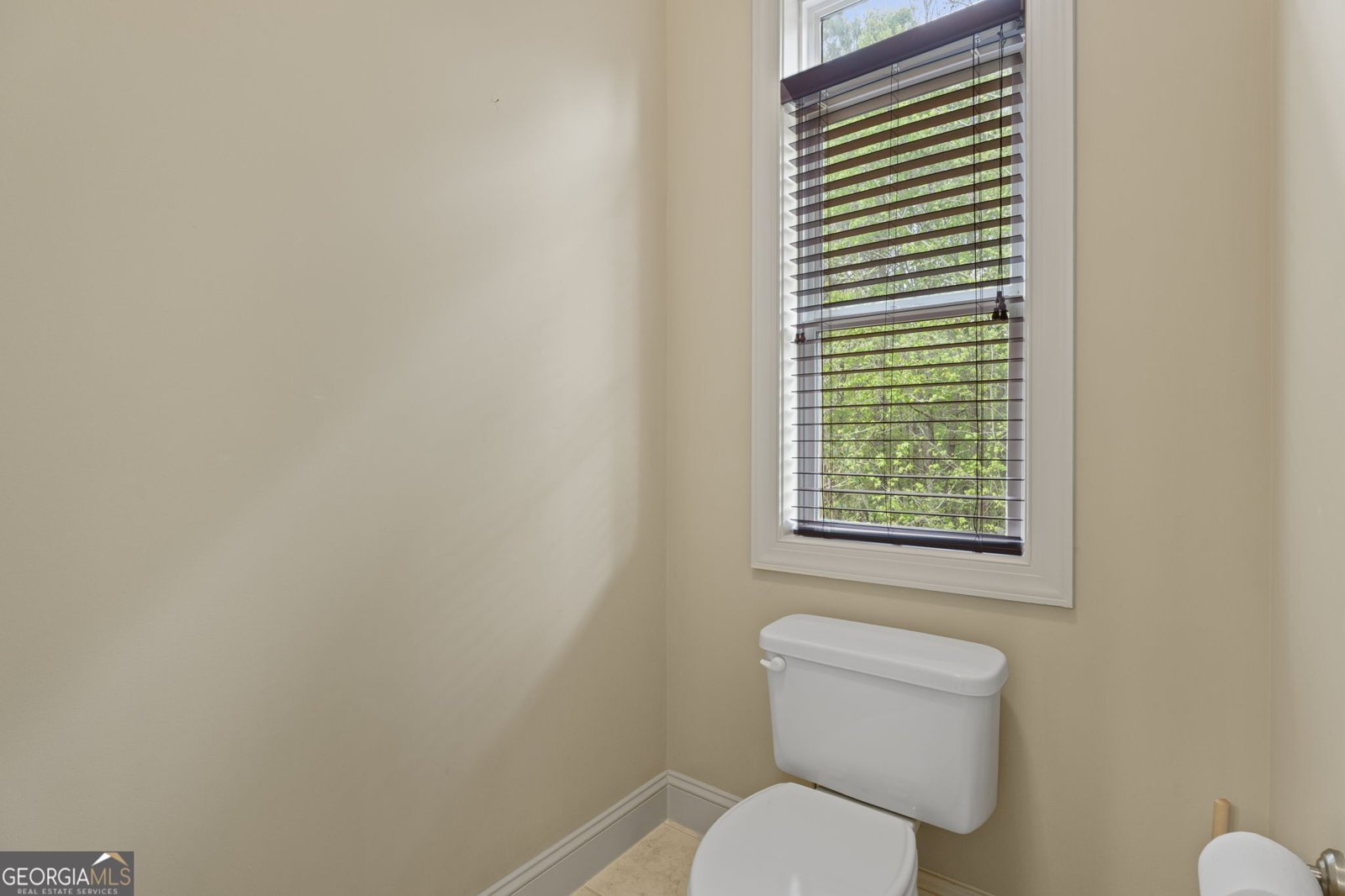 710 Bethpage Drive McDonough - Photo 19