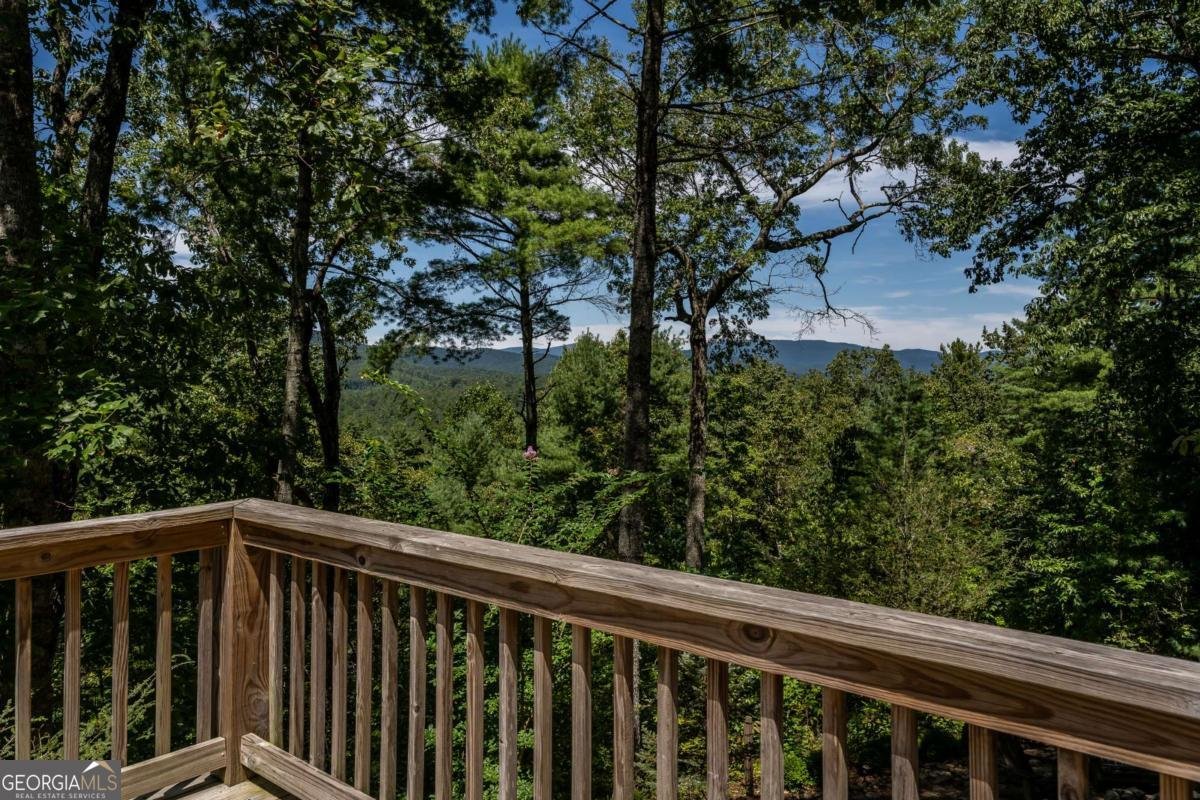 114 Boone Court Ellijay - Photo 37