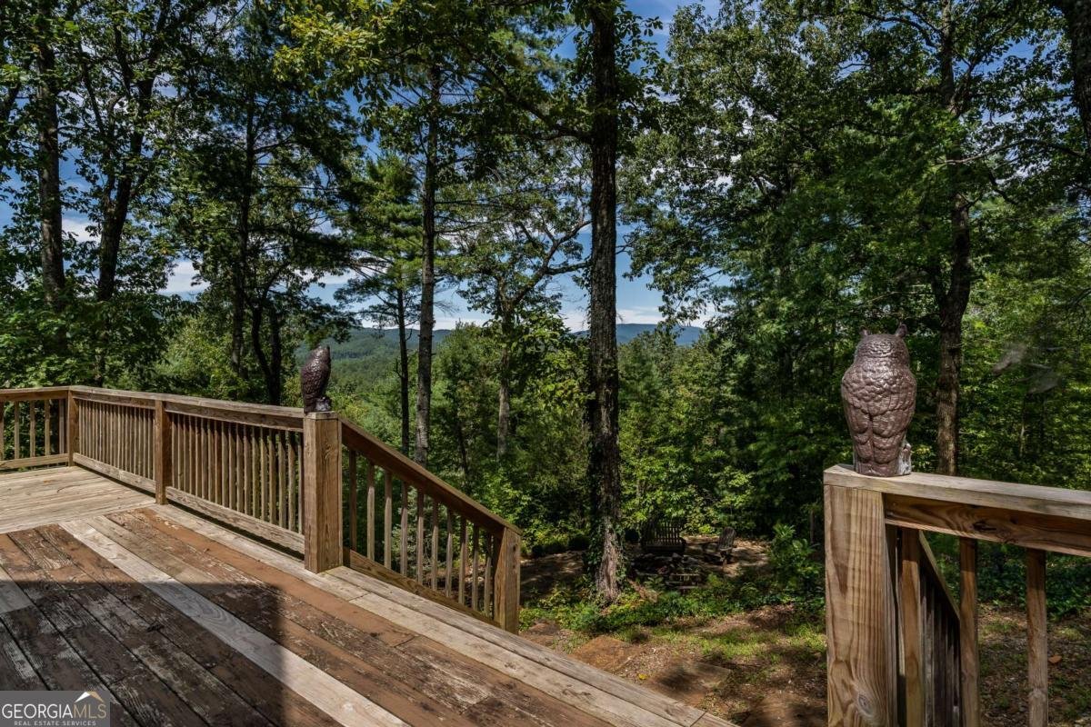 114 Boone Court Ellijay - Photo 45