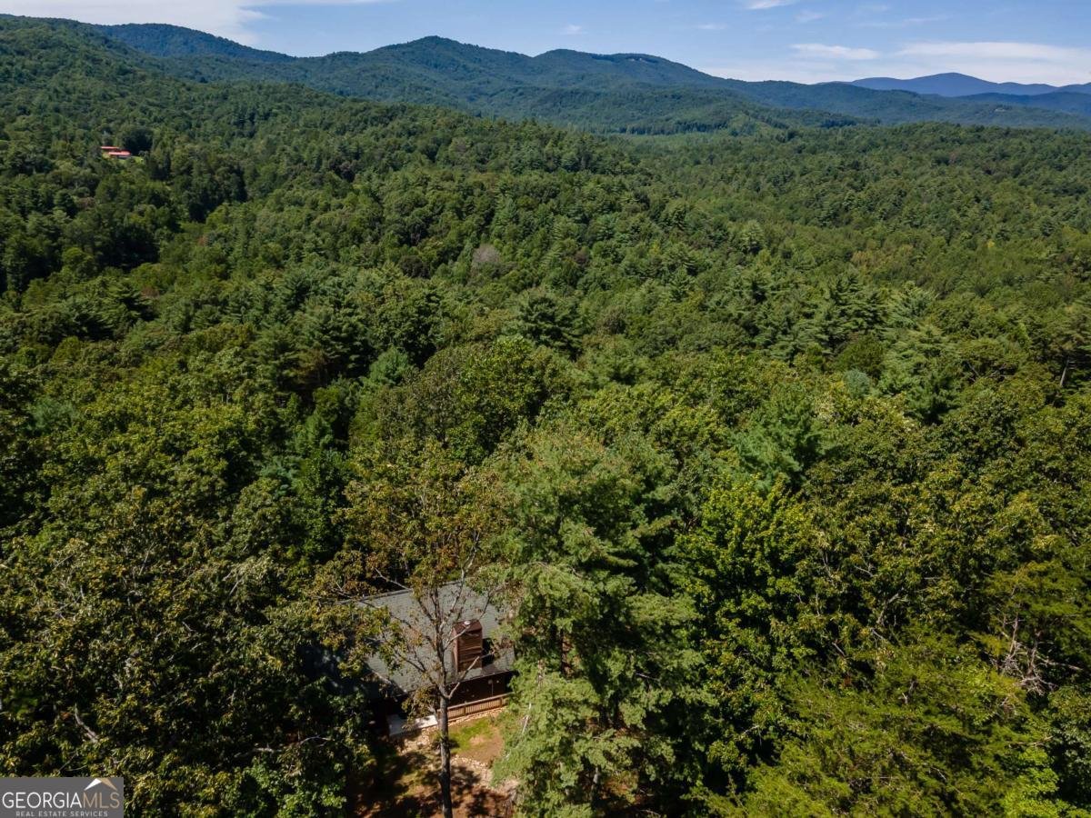 114 Boone Court Ellijay - Photo 52