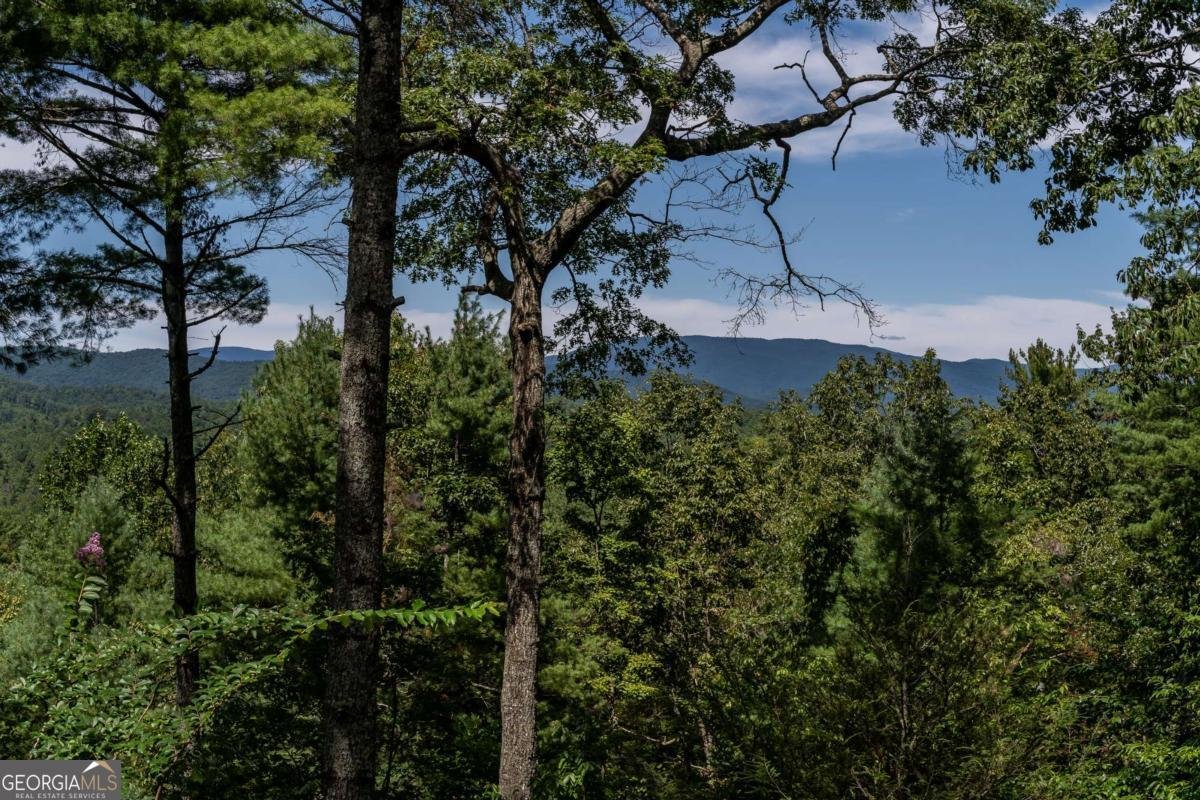 114 Boone Court Ellijay - Photo 54