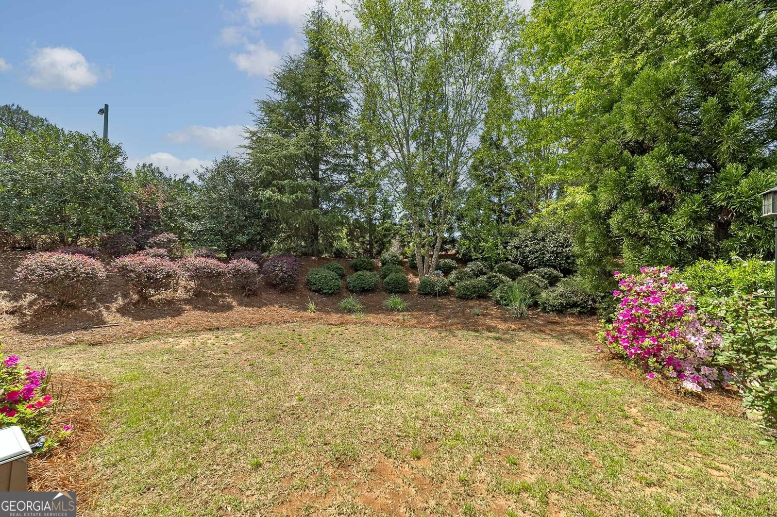 700 Buttercup Drive Griffin - Photo 29