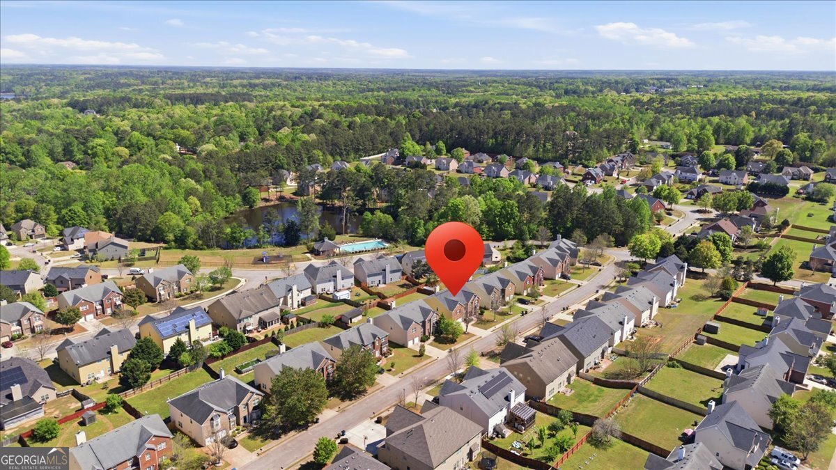 1316 Cochran Crossing McDonough - Photo 47