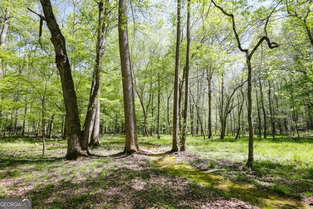 215 Hanover Drive Bogart - Photo 58