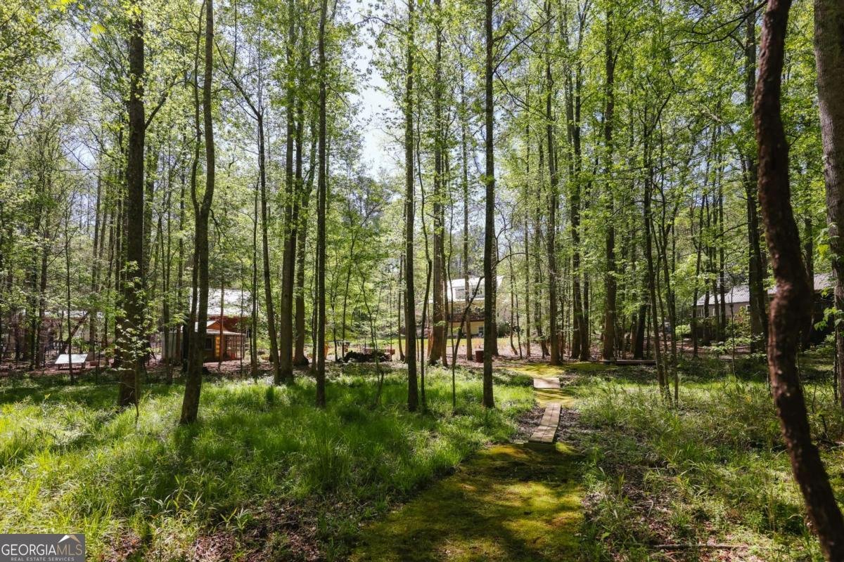 215 Hanover Drive Bogart - Photo 59