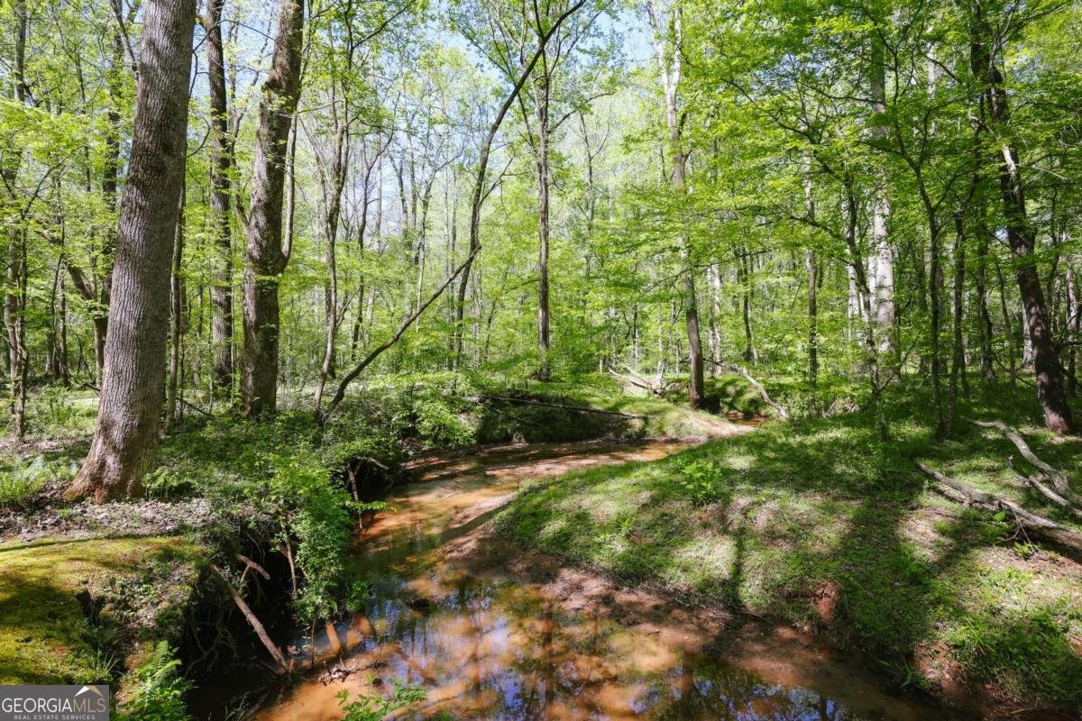 215 Hanover Drive Bogart - Photo 60