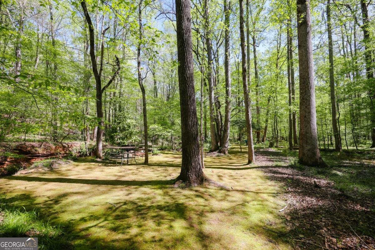 215 Hanover Drive Bogart - Photo 61