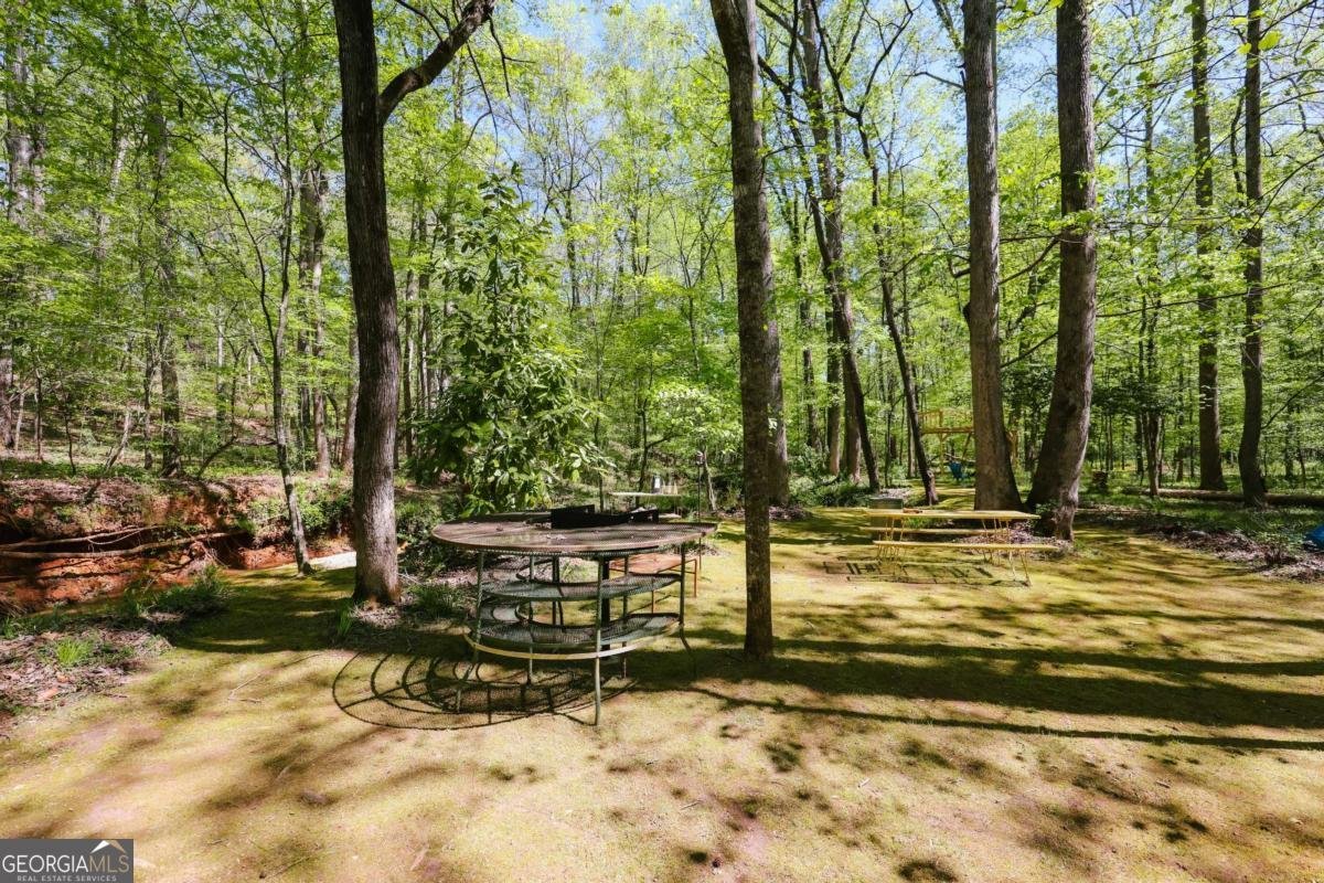 215 Hanover Drive Bogart - Photo 62