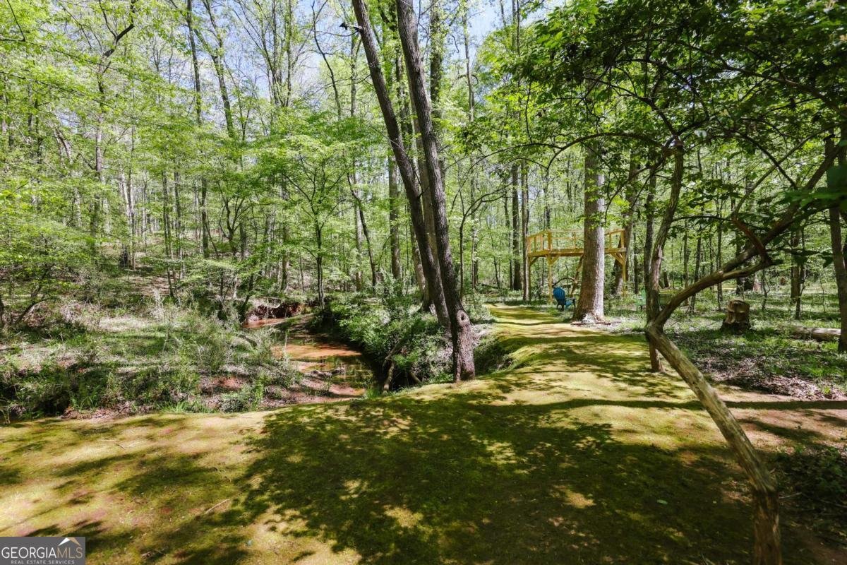 215 Hanover Drive Bogart - Photo 63