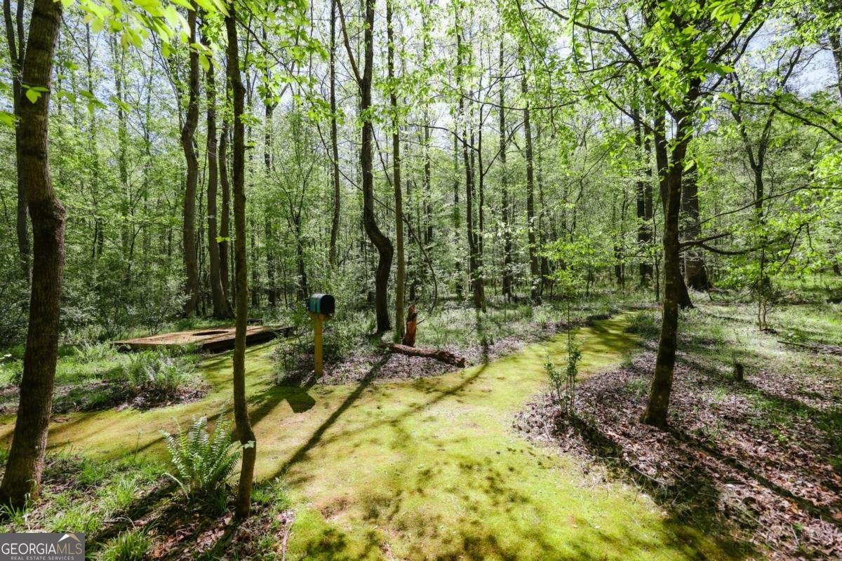 215 Hanover Drive Bogart - Photo 64