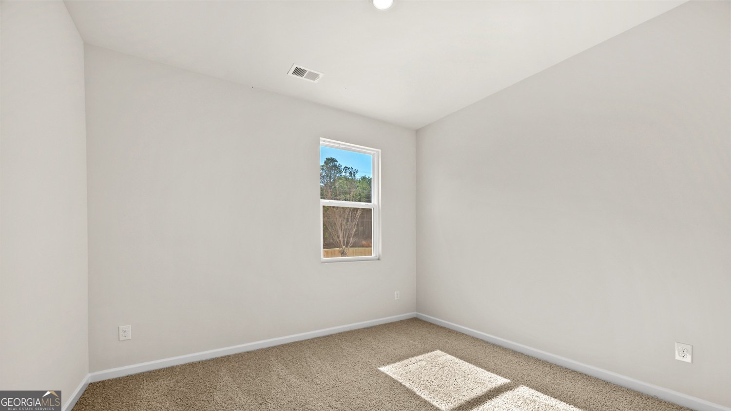 66 White Spruce Way Newnan - Photo 21