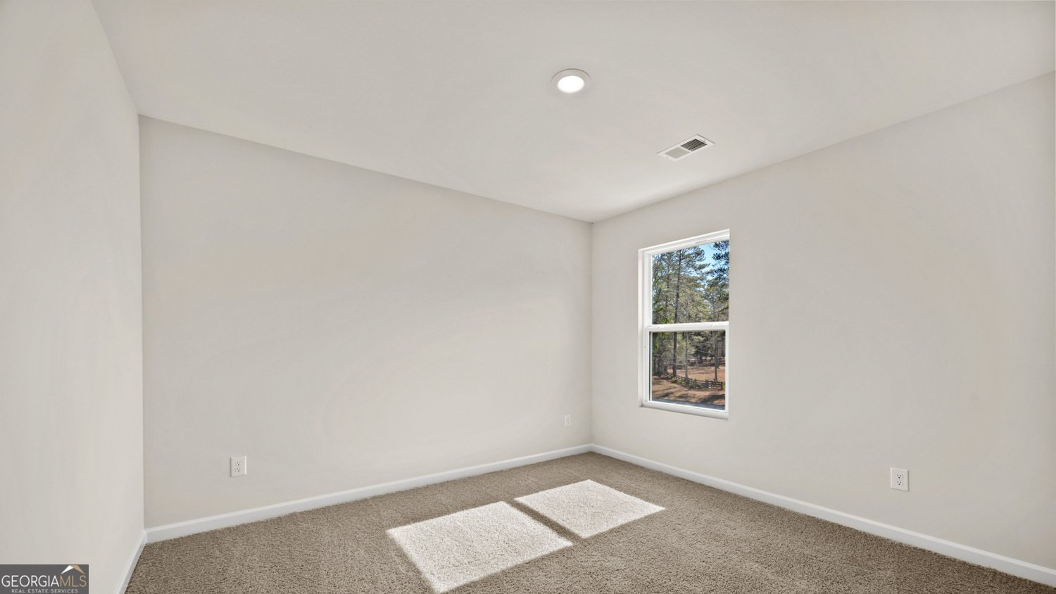 66 White Spruce Way Newnan - Photo 24
