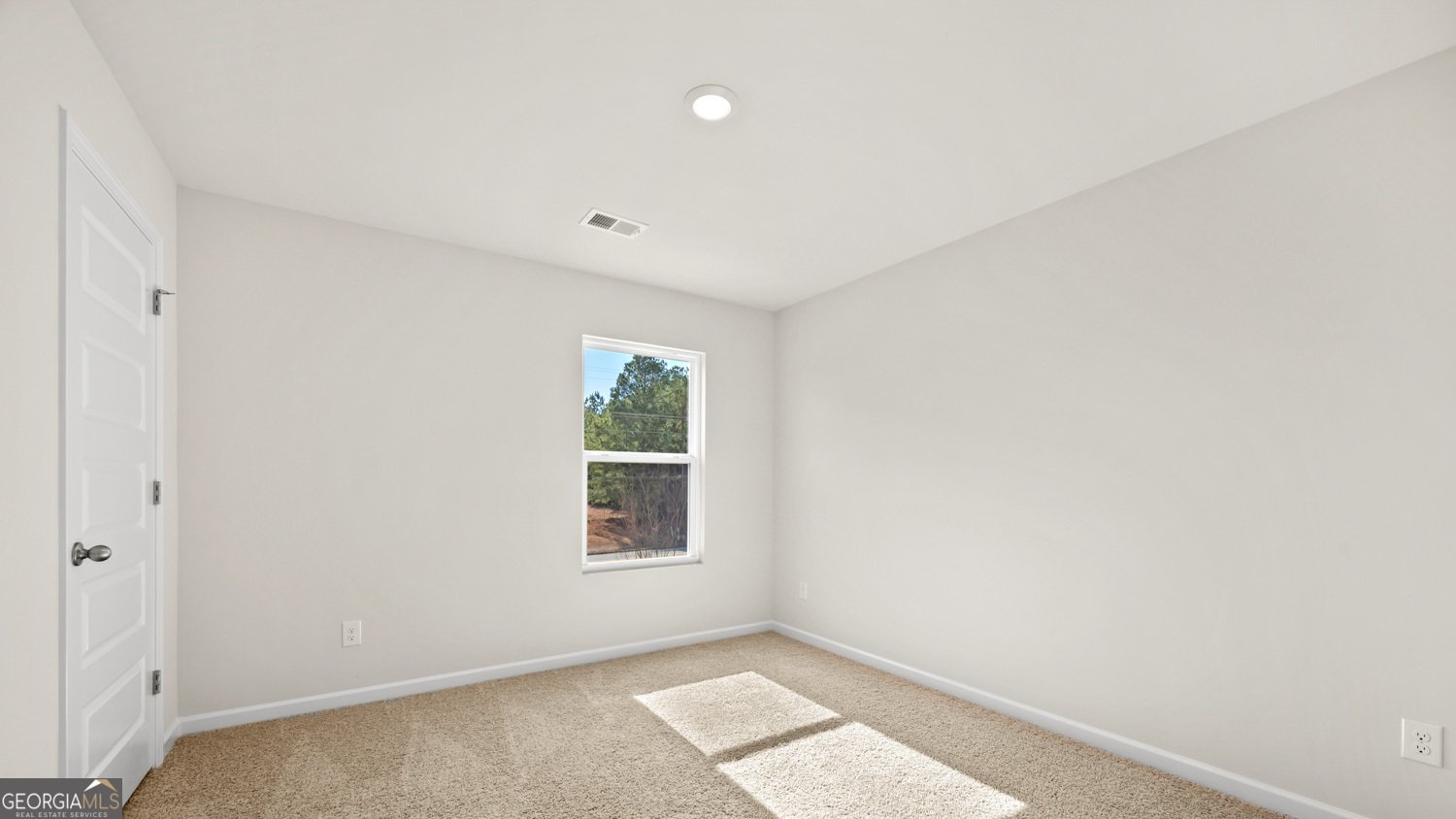 66 White Spruce Way Newnan - Photo 28