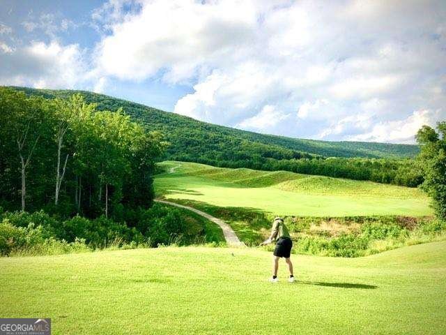 129 Mores Elm Loop Waleska - Photo 27