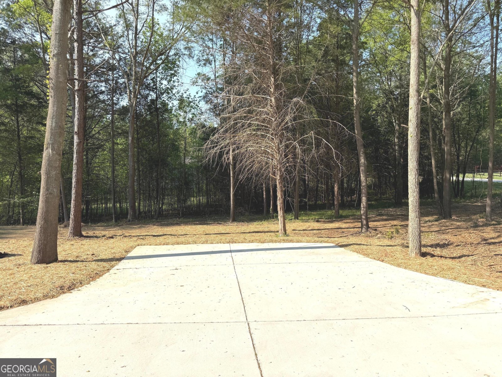 921 Silver Dollar Road Maysville - Photo 18