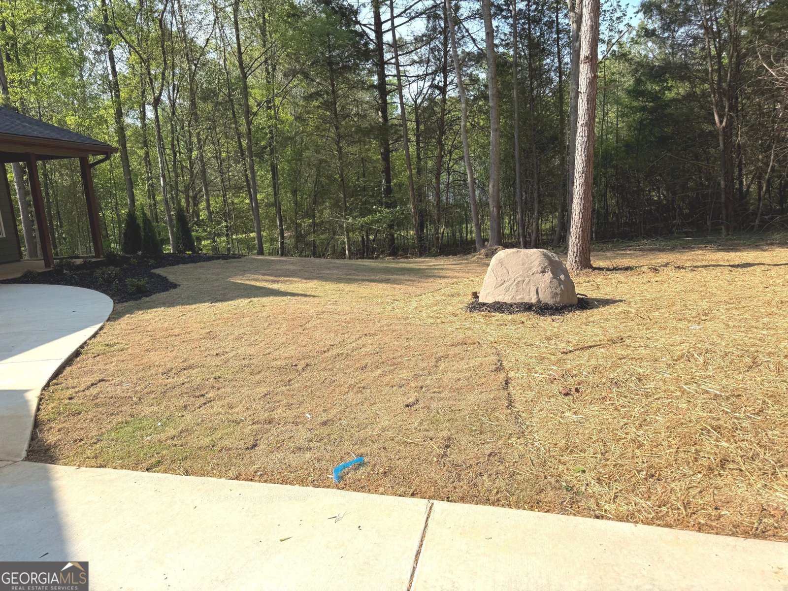 921 Silver Dollar Road Maysville - Photo 19